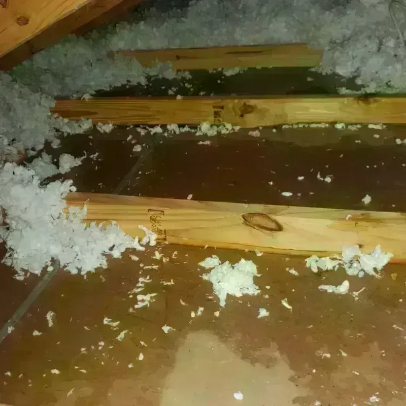 Attic Water Damage in River Falls, WI