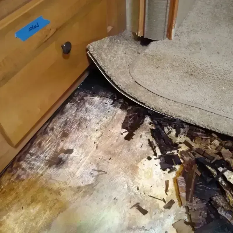 Wood Floor Water Damage in River Falls, WI